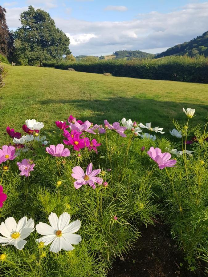 Eastwrey Barton Country House Lustleigh Exterior foto